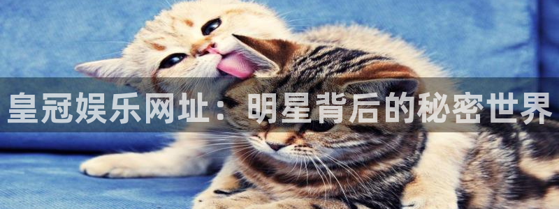 蓝狮在线的钱能提出来吗
