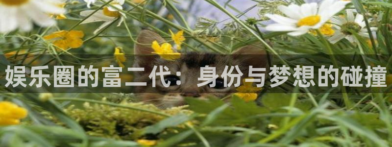 蓝狮在线注册开户